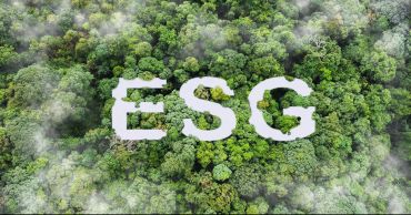 The ESG Paradox in a forest.