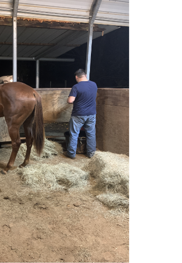 Brian Richmond Cleaning a Stall