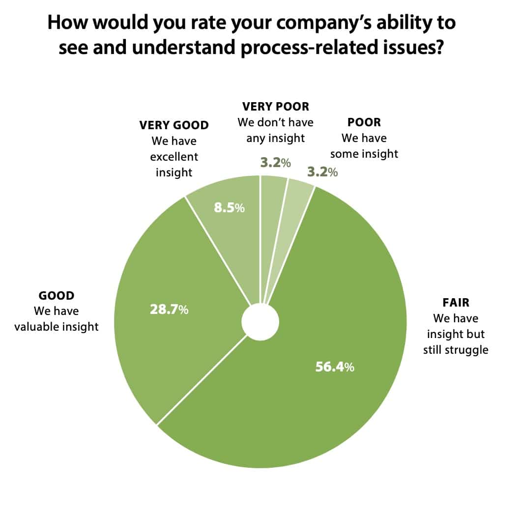 How do you rate your company's ability to understand process related issues in food processing?