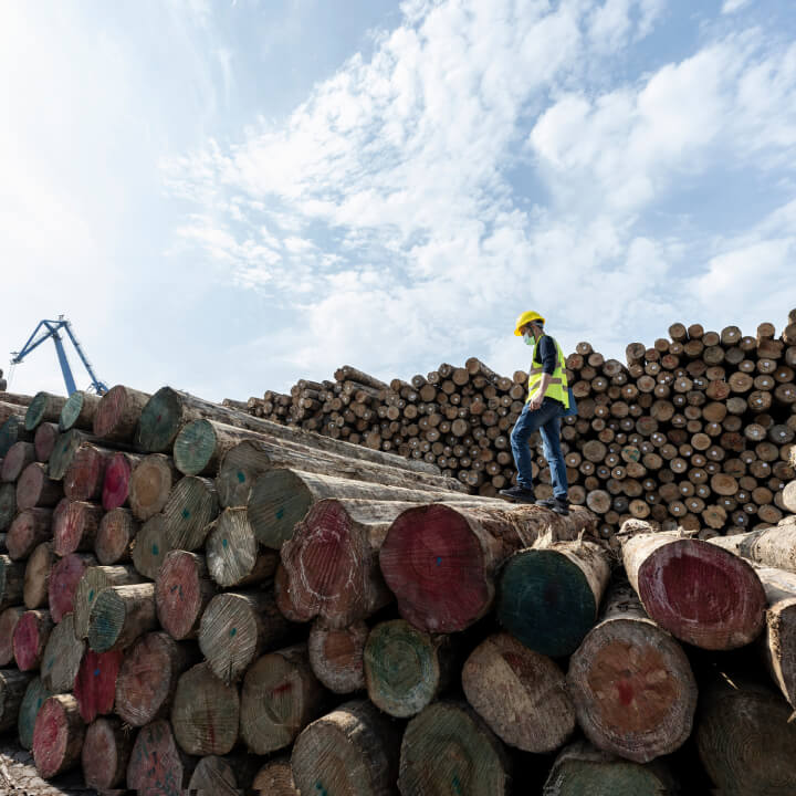 A worker in a yellow hard hat and reflective vest stands on a large pile of stacked logs, showcasing their intricate woodgrain patterns against a partly cloudy sky.
