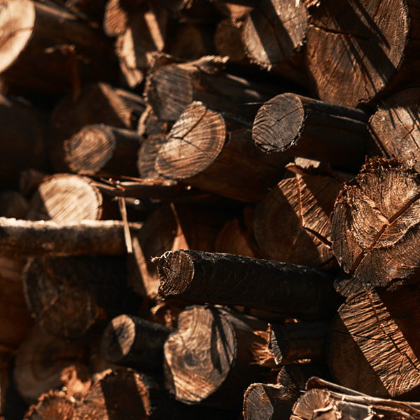 Stacked firewood logs with rough, textured bark and cut ends exposed, arranged closely together in warm sunlight creating deep shadows and contrasting highlights.
