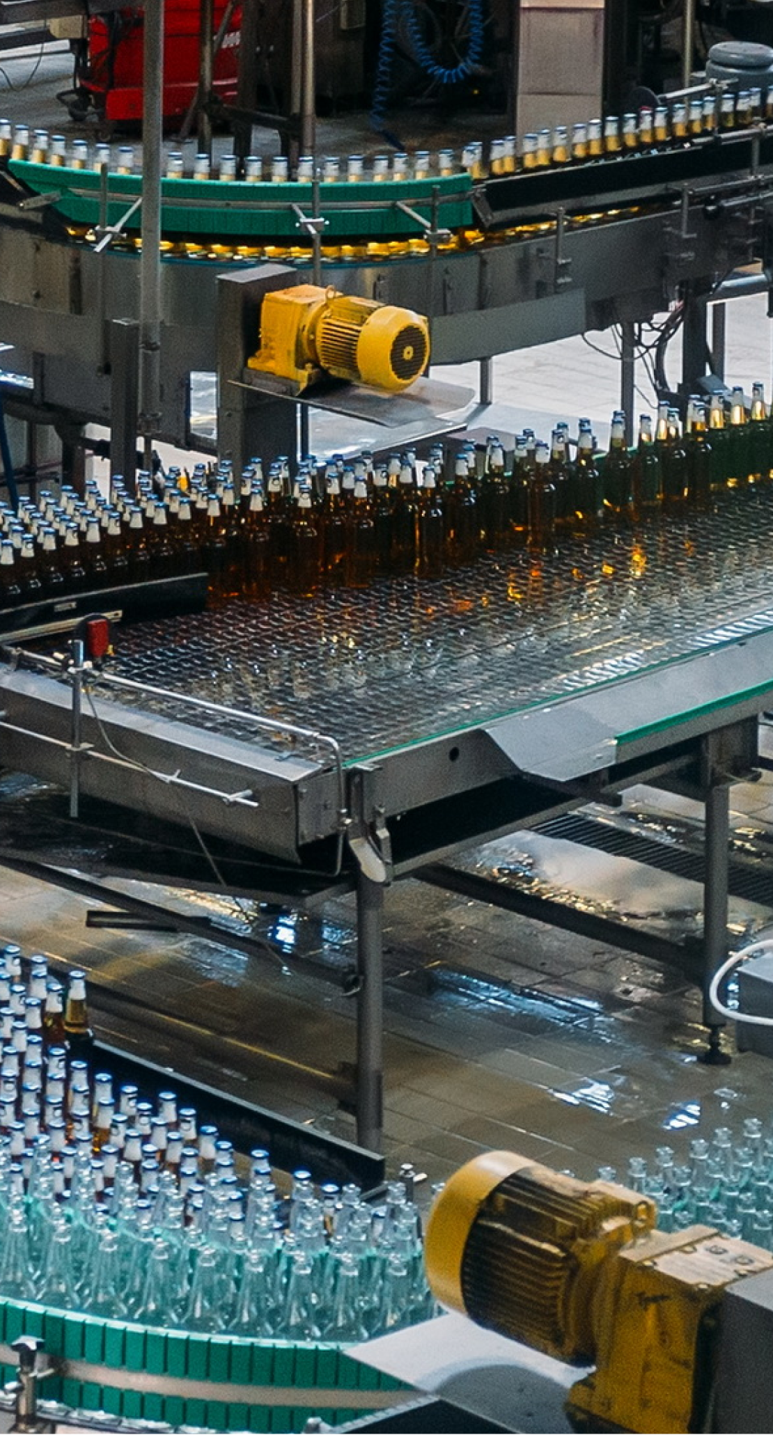 Bottles move along conveyor belts in a beverage factory, with machinery and equipment visible around the production line.